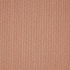 Posh Coral Swatch