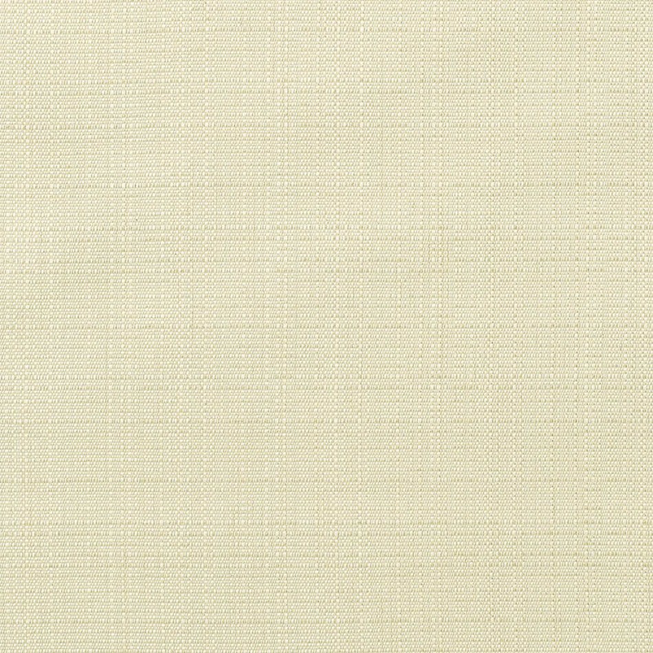 Linen Canvas Fabric Swatch