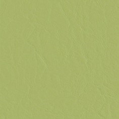 Capitano Daiquiri Swatch