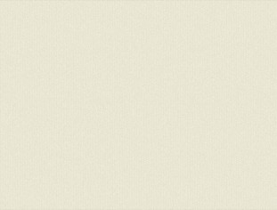 Solid Ivory Swatch