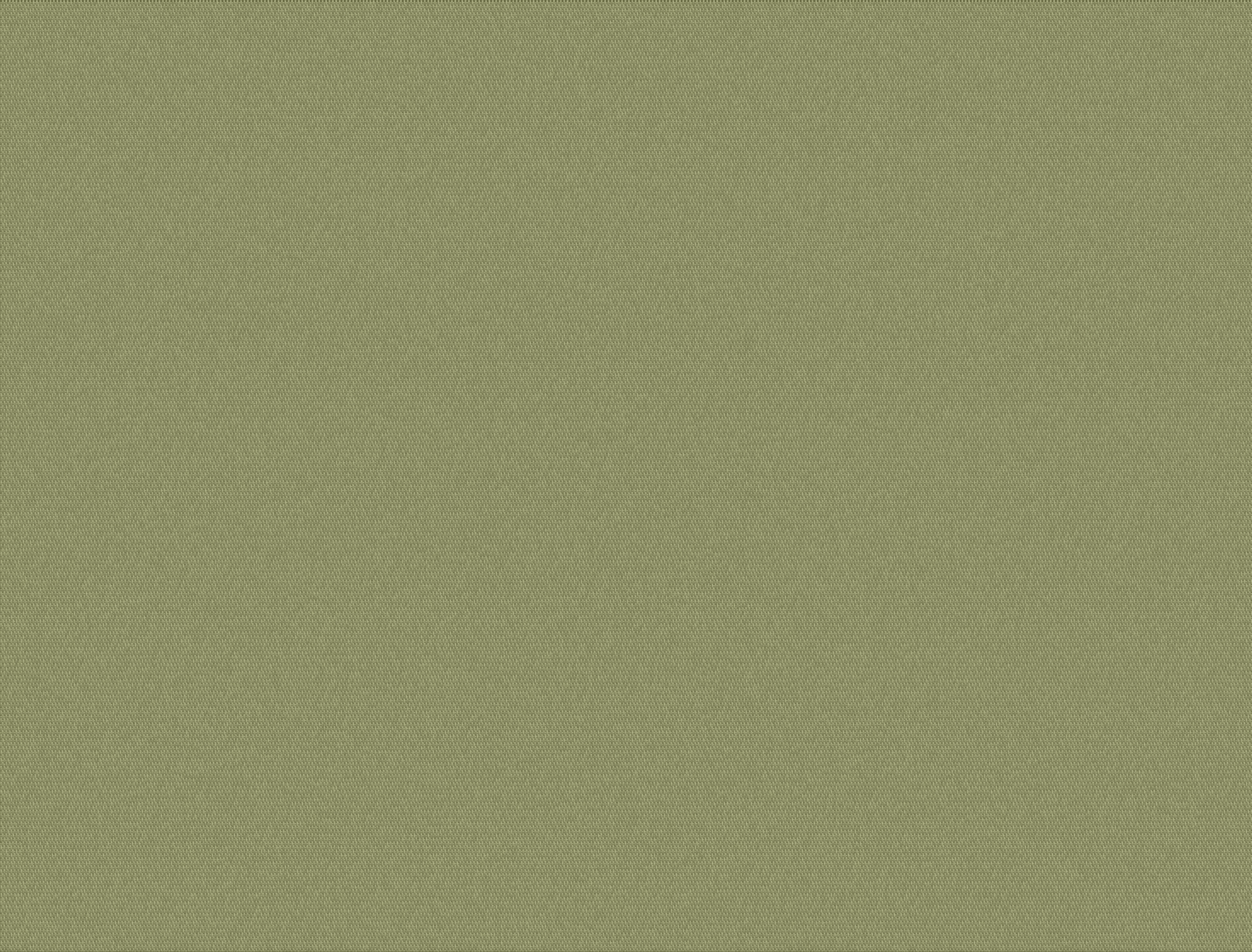 Solid Citron Fabric Swatch