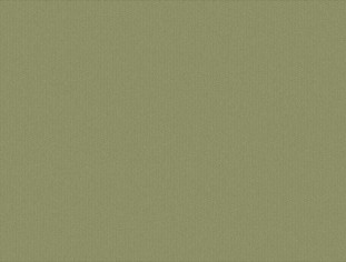 Solid Citron Swatch