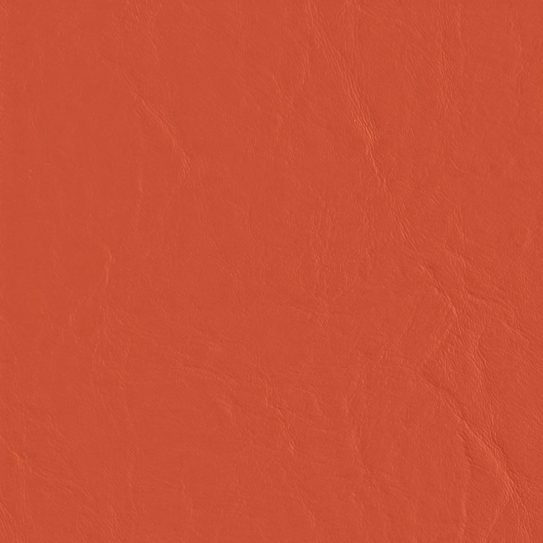 Capitano Pennywise Fabric Swatch
