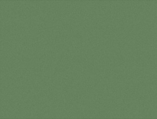 Solid Clover Swatch