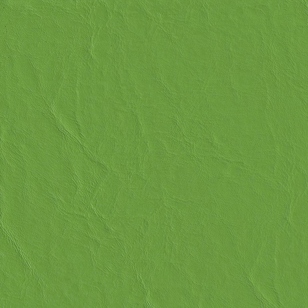 Capitano Parakeet Fabric Swatch
