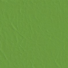 Capitano Parakeet Swatch