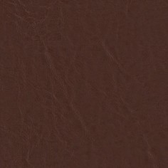 Capitano Root Beer Swatch