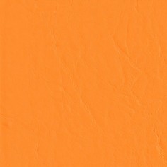 Capitano Mandarin Swatch
