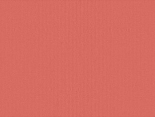 Solid Flamingo Swatch