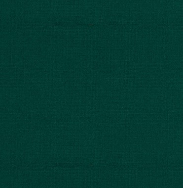 Ciao Evergreen Tempotest solid outdoor performance fabric