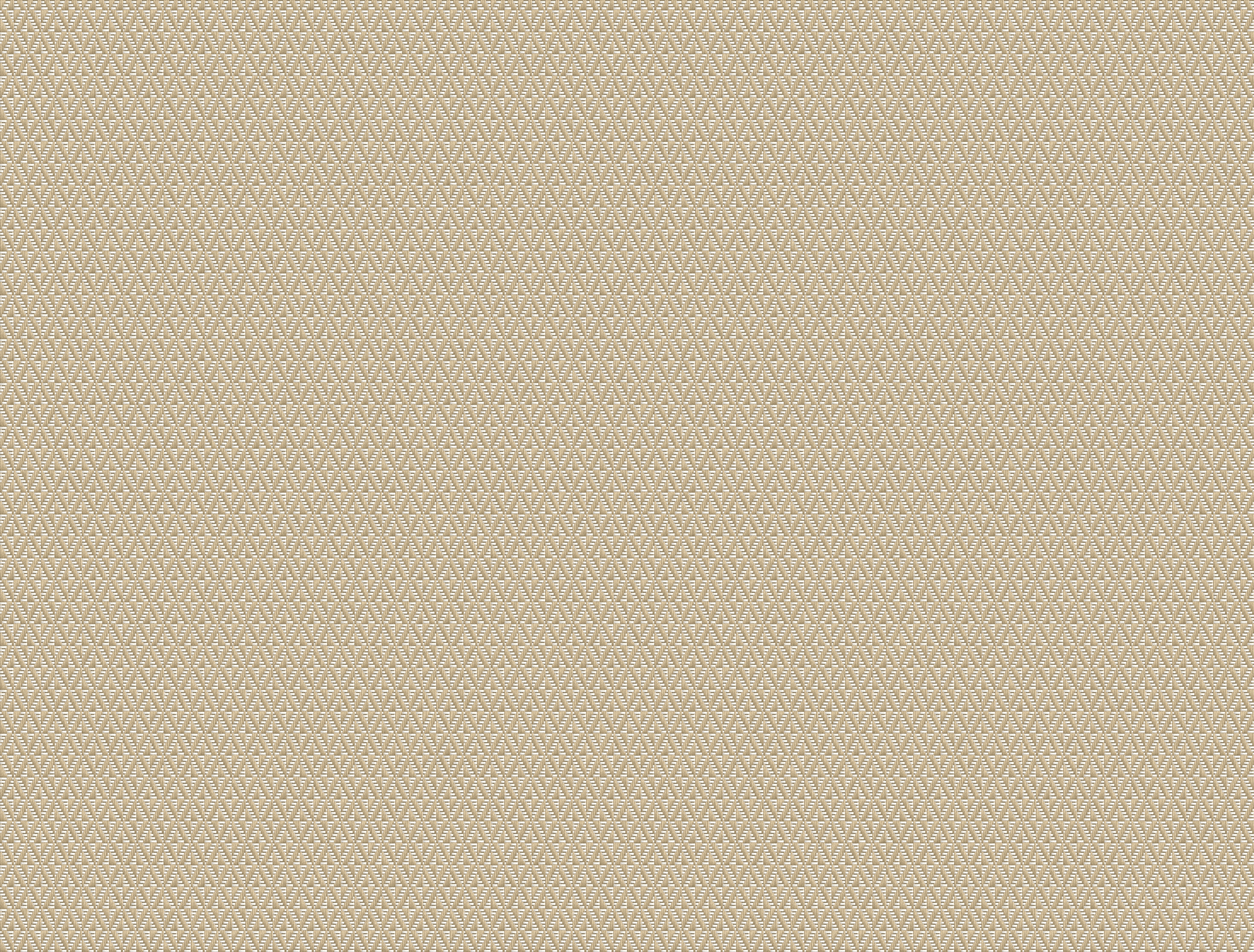 Plateau Ecru Fabric Swatch