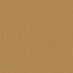 Capitano Totally Tan Swatch