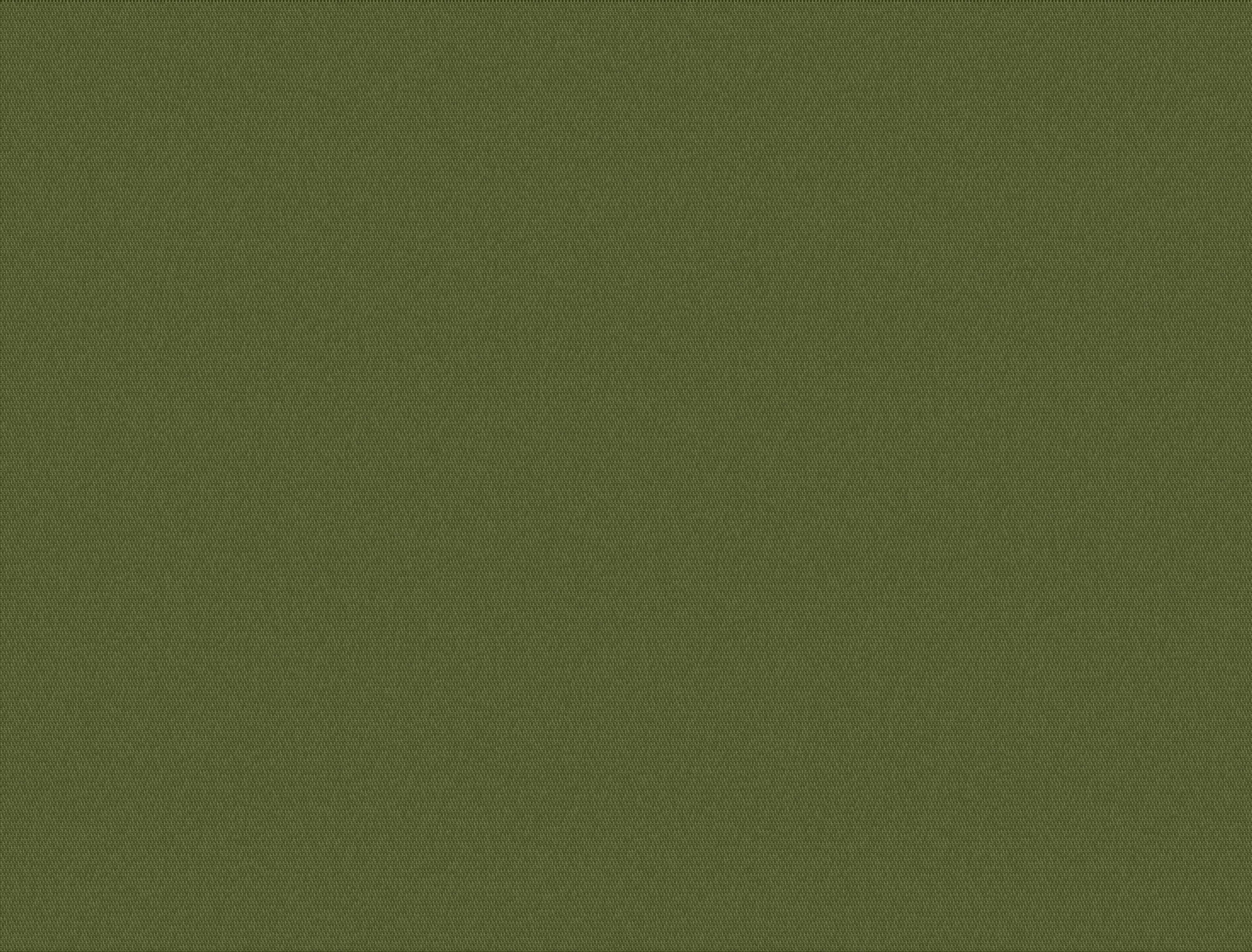 Solid Reseda Fabric Swatch