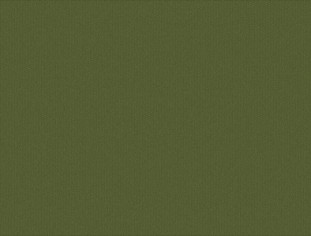 Solid Reseda Swatch