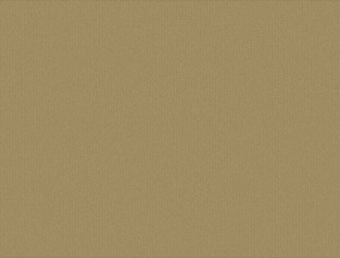 Solid Burnish Swatch